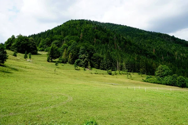 Prairies Forêts Dessus Jasenova Avec Des Collines Parc National Mala — Photo