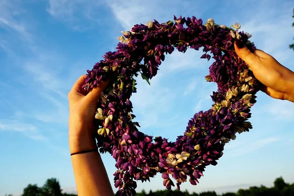 Corona Flores Rosadas Sobre Fondo Azul Cielo Manos Femeninas Sosteniendo —  Fotos de Stock