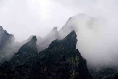                  Yüksek Tatra 'nın tepeleri beyaz bulutlarla dolu. Bulutlardaki dağlar. Slovakya 'daki Yüksek Tatras Dağları              