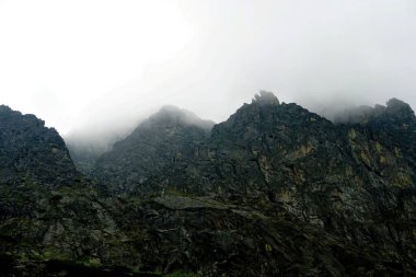                  Yüksek Tatra 'nın tepeleri beyaz bulutlarla dolu. Bulutlardaki dağlar. Slovakya 'daki Yüksek Tatras Dağları              