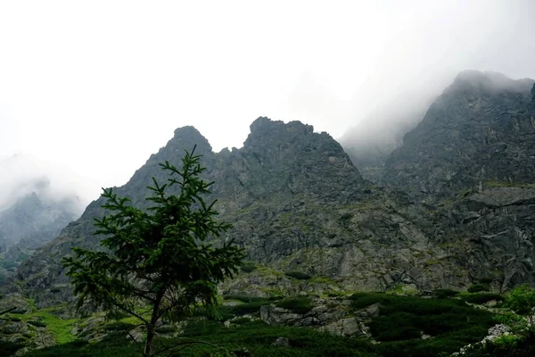 Peaks High Tatras White Clouds Mountains Clouds High Tatras Mountains — Stock Photo, Image