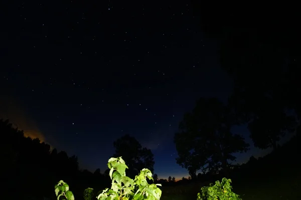 Ciel Nocturne Bleu Foncé Avec Nombreuses Étoiles Ciel Nocturne Sur — Photo