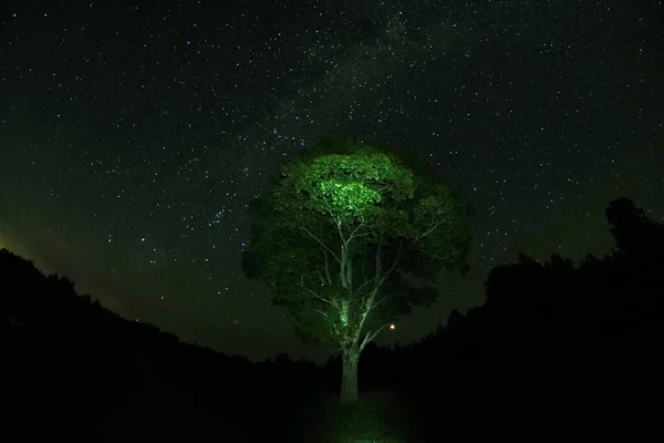 多くの星と青い暗い夜空 田舎の風景の上に夜空 魚眼レンズで高いIso風景 — ストック写真