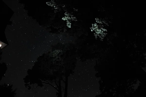 Cielo Azul Oscuro Con Muchas Estrellas Cielo Nocturno Sobre Paisaje —  Fotos de Stock