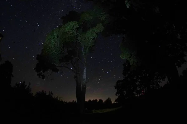 多くの星と青い暗い夜空 田舎の風景の上に夜空 魚眼レンズで高いIso風景 — ストック写真