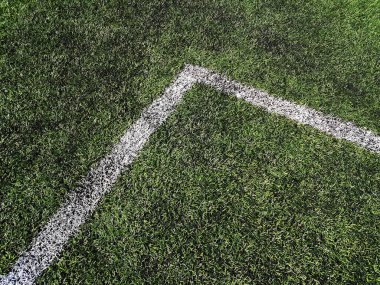 Spor stadyumunun yeşil çimlerinde beyaz çizgi. Futbol stadyumunda yapay spor yüzeyi yeşil çimen taklidi
