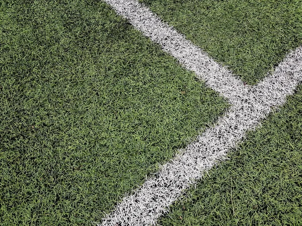 Biała Linia Zielonej Trawie Stadionu Sportowego Sztuczna Nawierzchnia Sportowa Zielona — Zdjęcie stockowe