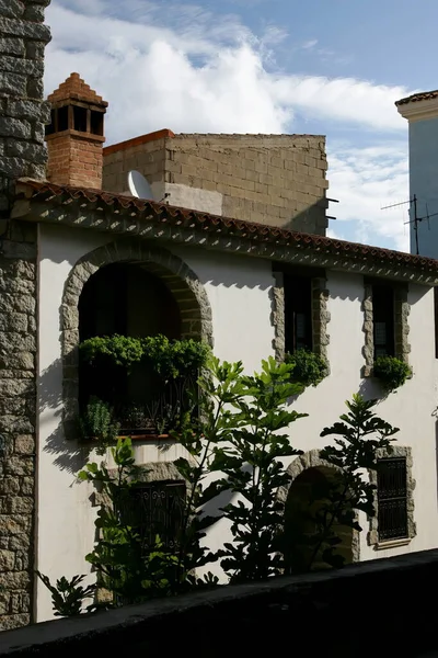 具有白色房屋 砖窗和绿树的传统撒丁岛城镇景观 — 图库照片