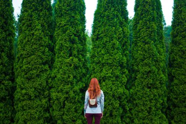 Kızıl saçlı kız önünde yeşil cedars ayakta