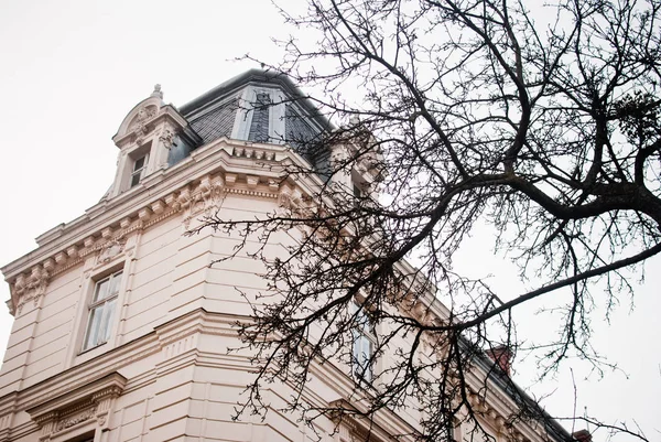 Las Paredes Cremosas Antigua Casa Exquisita Lviv Ucrania — Foto de Stock