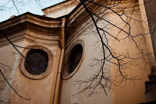 Svarta Grenar Trädet Och Dominikanska Kyrkan Vårkväll Lviv Ukraina — Stockfoto