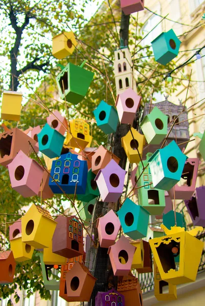 Belas Casas Pássaros Coloridas Árvore Lviv Ucrânia — Fotografia de Stock