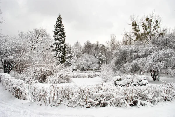 Fehér Havas Téli Délután Park — Stock Fotó