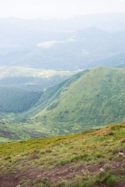Yeşil Karpat Dağları ve soluk mavi gökyüzü