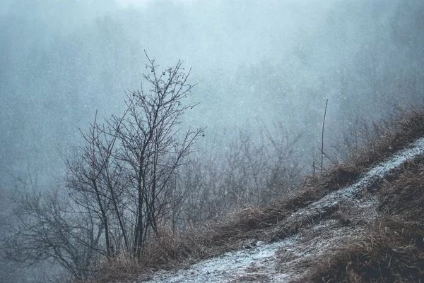 Parte Superior Una Colina Cubierta Hierba Seca Pálida Congelada Invierno — Foto de Stock