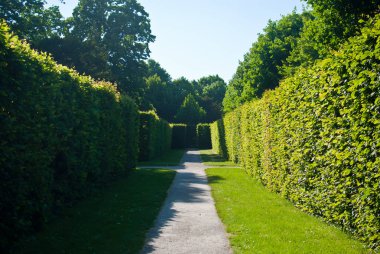 Güneşli bir günde güzel manzaralı yol
