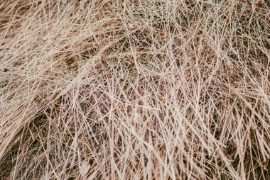 Köyde haycock (samanlık) closeup. Güzel yaz öğleden sonra Karpat Dağları, Ukrayna.