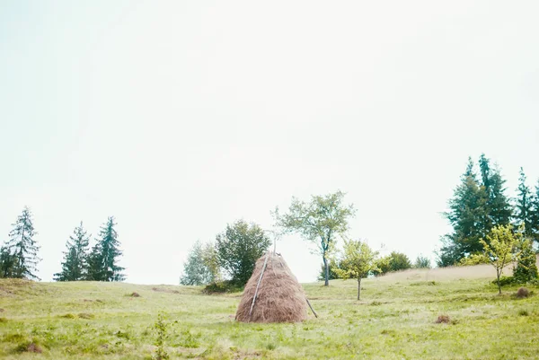 우크라이나의 산맥에서 잔디에 Haycock 화창한 — 스톡 사진