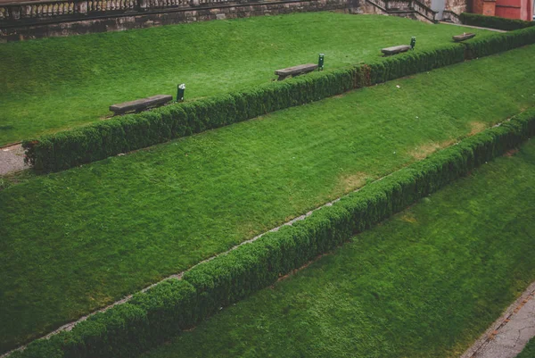 Beautiful Green Square Benches Bushes Warsaw Poland — Stock Photo, Image