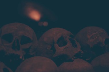 Bir kafatası closeup ve örümcek ağı ve catacombs toz kaplı. Çok sayıda ürpertici kafatasları karanlıkta mum ışığında vurgulanır. Ölüm, terör ve kötülüğü simgeleyen soyut kavram. Retro vintage renk