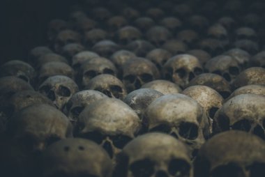 Kafatasları topluluğu örümcek ağı ve catacombs toz kaplı. Satır karanlıkta ürpertici kafatasları. Ölüm, terör ve kötülüğü simgeleyen soyut kavram.