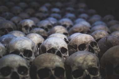 Kafatasları topluluğu örümcek ağı ve catacombs toz kaplı. Satır karanlıkta ürpertici kafatasları. Ölüm, terör ve kötülüğü simgeleyen soyut kavram.