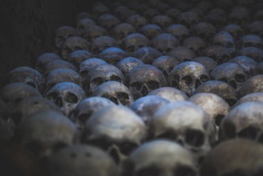 Kafatasları topluluğu örümcek ağı ve catacombs toz kaplı. Satır karanlıkta ürpertici kafatasları. Ölüm, terör ve kötülüğü simgeleyen soyut kavram.