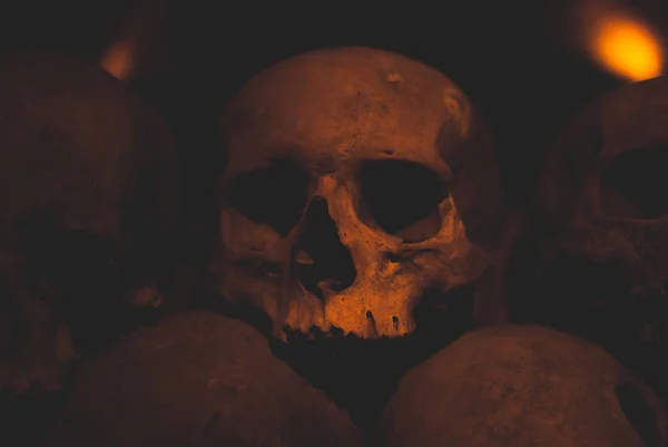 Primo Piano Cranio Coperto Ragnatela Polvere Nelle Catacombe Numerosi Teschi — Foto Stock