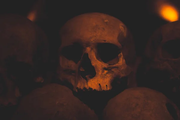 Close Van Een Schedel Bedekt Met Spinnenweb Stof Catacomben Talrijke — Stockfoto