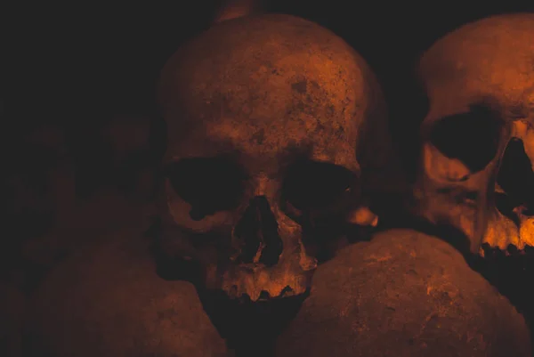 두개골의 무덤에서 먼지와 거미줄 속에서 수많은 두개골 죽음과 추상적인 — 스톡 사진