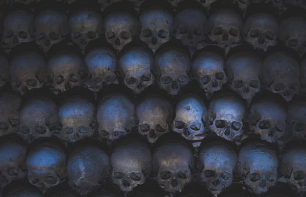 Colección Cráneos Cubiertos Telaraña Polvo Las Catacumbas Numerosos Cráneos Espeluznantes — Foto de Stock