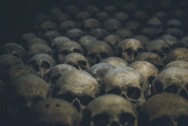 Colección Cráneos Cubiertos Telaraña Polvo Las Catacumbas Filas Cráneos Espeluznantes — Foto de Stock