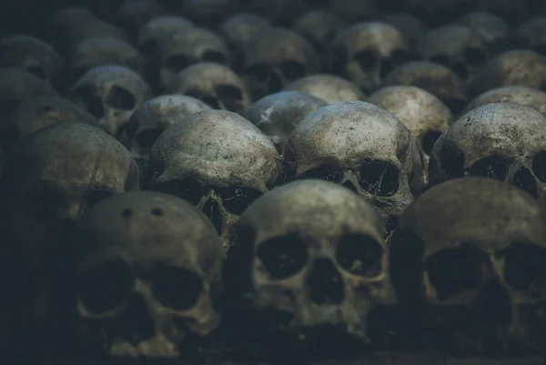 Collection Skulls Covered Spider Web Dust Catacombs Rows Creepy Skulls — Stock Photo, Image