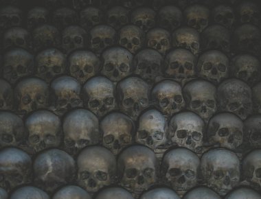 Kafatasları topluluğu örümcek ağı ve catacombs toz kaplı. Karanlıkta çok sayıda ürpertici kafatasları. Ölüm, terör ve kötülüğü simgeleyen soyut kavram.