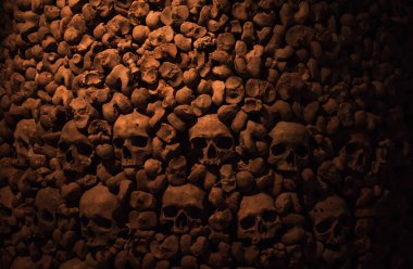Kafatasları ve kemikleri koleksiyonu örümcek ağı ve catacombs toz kaplı. Karanlıkta çok sayıda ürpertici kafatasları. Ölüm, terör ve kötülüğü simgeleyen soyut kavram.