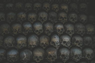 Kafatasları topluluğu örümcek ağı ve catacombs toz kaplı. Karanlıkta çok sayıda ürpertici kafatasları.