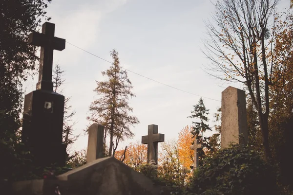 Hermosos Monumentos Lápidas Lápidas Del Cementerio Cubiertas Crepúsculo —  Fotos de Stock