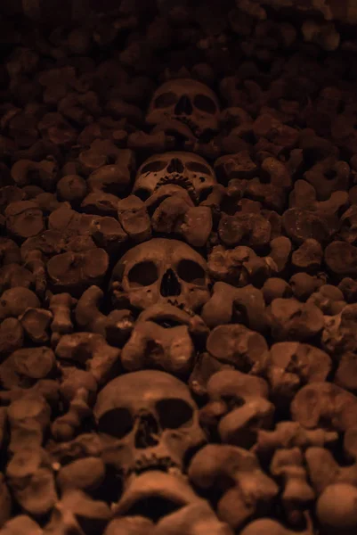 Kafatasları Kemikleri Koleksiyonu Örümcek Ağı Catacombs Toz Kaplı Karanlıkta Çok — Stok fotoğraf