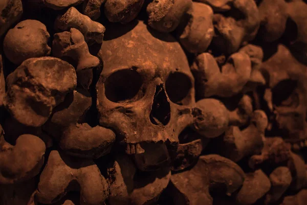 Colección Cráneos Huesos Cubiertos Telaraña Polvo Las Catacumbas Numerosos Cráneos — Foto de Stock