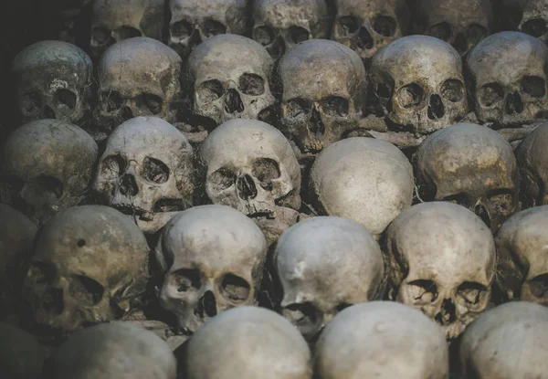 Collection Skulls Covered Spider Web Dust Catacombs Numerous Creepy Skulls — 스톡 사진