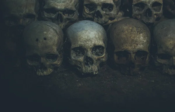 Collection Skulls Covered Spider Web Dust Catacombs Numerous Creepy Skulls — 스톡 사진