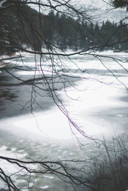 Güzel dağ gölü Synevyr Ukrayna. Donmuş gölün karşı karanlık kış orman ve bulutlar ve sis kaplı dağları kar ile kaplı. Dalları Dokuma yoluyla gördüm yatay. Gri bulutlu gökyüzü