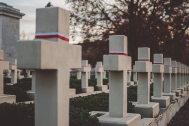 Lviv, Ukrayna - 18 Ekim 2017 - bellek Lychakiv Mezarlığı üzerinde Polonyalı asker için.