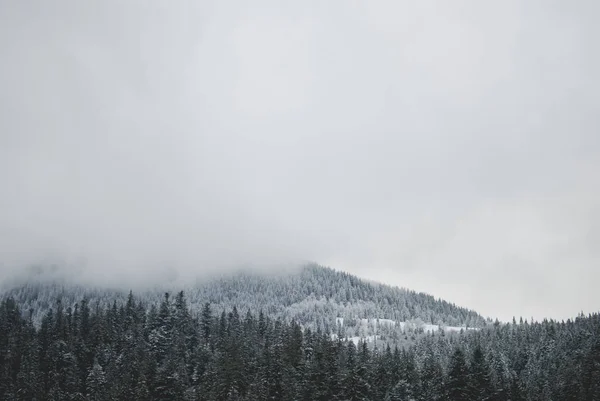 Lindas Montanhas Cobertas Nuvens Floresta Escura Inverno Perto Lago Synevyr — Fotografia de Stock