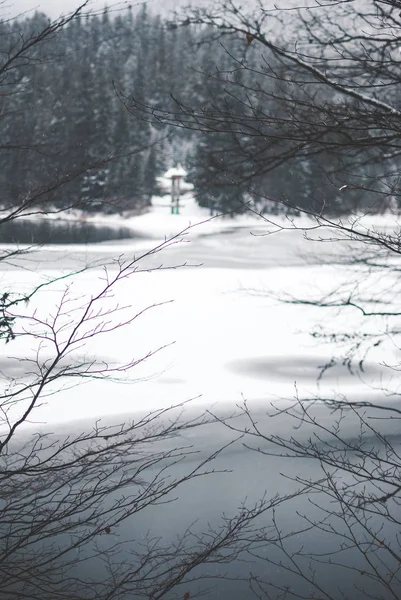 Hermoso Lago Montaña Synevyr Ucrania Lago Congelado Cubierto Nieve Contra — Foto de Stock