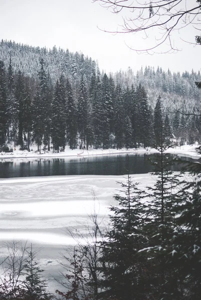 Hermoso Lago Montaña Synevyr Ucrania Lago Congelado Cubierto Nieve Contra — Foto de Stock