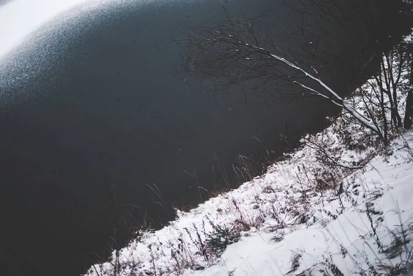 산에서에서 Synevyr 호수입니다 얼어붙은 호수는 어두운 눈으로 지상에는 외로운 나무의 — 스톡 사진