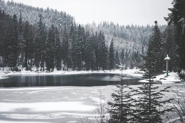 Beautiful Mountain Lake Synevyr Ukraine Frozen Lake Covered Snow Dark — Stock Photo, Image