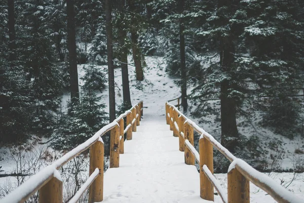 Ponte Madeira Amarela Sobre Lago Inverno Congelado Coberto Com Neve — Fotografia de Stock