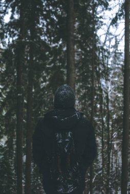 Adam gezgin kış orman manzarası hayran